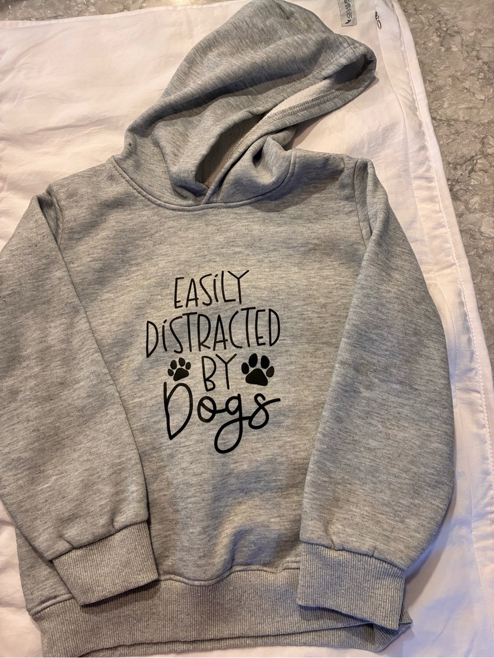 Kids Grey "Easily Distracted By Dogs" Hoodie